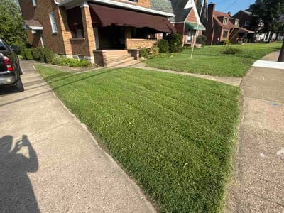 Lawn Care service in Bridgeville, 15017