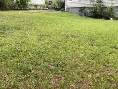 Lawn Care service in Beaumont, 92223