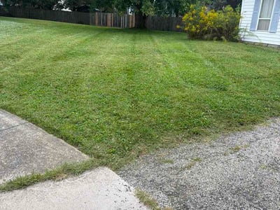 Lawn Care service in Mount Gilead, 43338