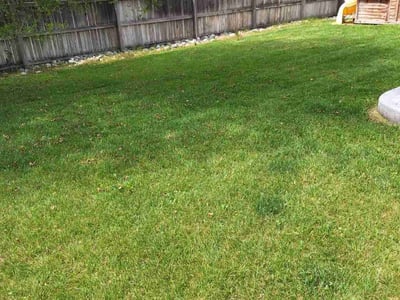 Lawn Care service in New Brunswick, 08901