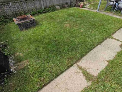 Lawn Care service in Wauseon, 43567
