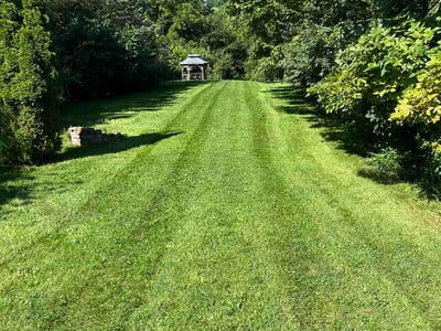 Lawn Care service in Wauseon, 43567