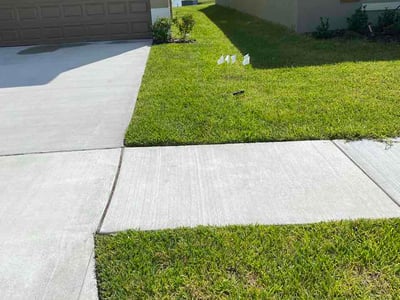 Lawn Care service in Pinellas Park, 33781