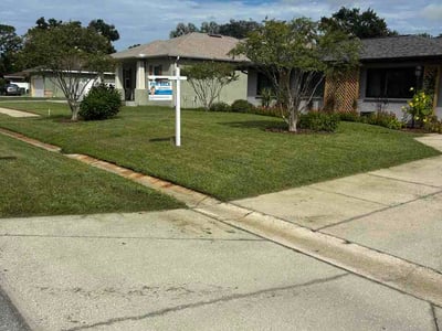 Lawn Care service in Pinellas Park, 33781