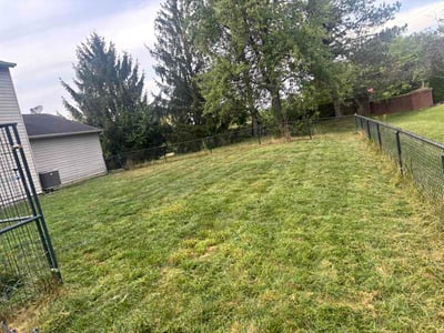 Lawn Care service in Corydon, 47112