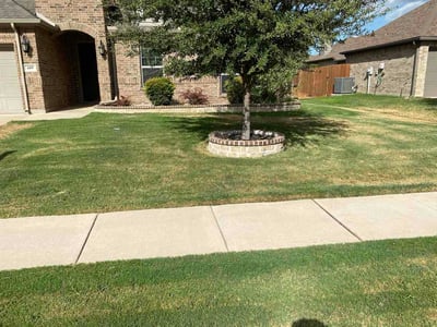 Lawn Care service in Crowley, 76036