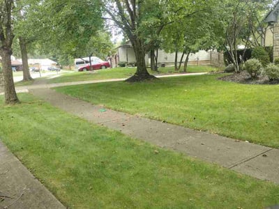 Lawn Care service in Galloway, 43119