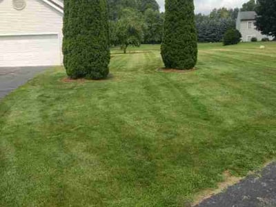Lawn Care service in Sparta, 49345