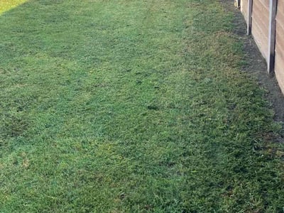 Lawn Care service in Redding, 96001