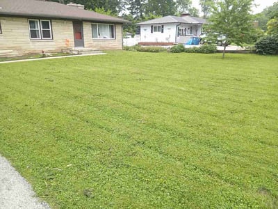 Lawn Care service in Terre Haute, 47807