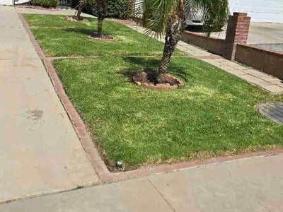 Lawn Care service in Chino, 91710