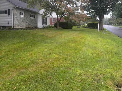 Lawn Care service in Denver, 17517