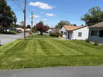 Lawn Care service in Denver, 17517