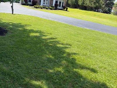 Lawn Care service in Depew, 14043
