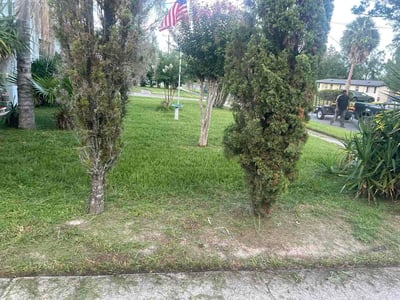 Lawn Care service in Cocoa Beach, 32931
