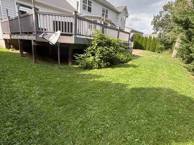 Lawn Care service in Winchester, 22601