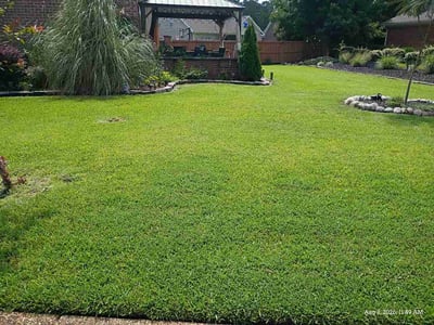Lawn Care service in Southport, 28461