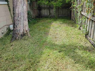 Lawn Care service in Satellite Beach, 32937