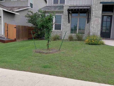 Lawn Care service in Live Oak, 78233