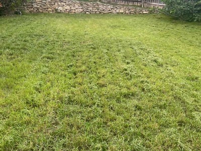 Lawn Care service in Live Oak, 78233