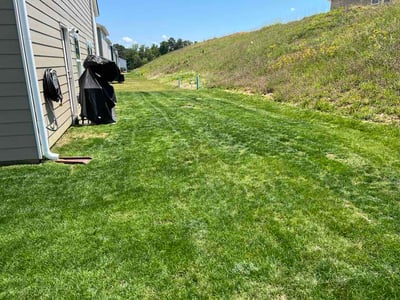 Lawn Care service in Leeds, 35094