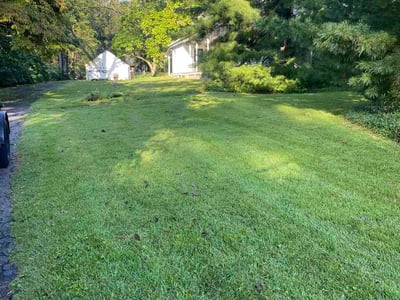 Lawn Care service in Trenton, 45067