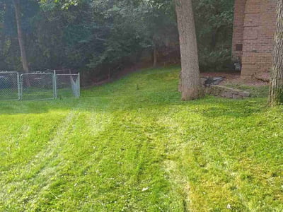 Lawn Care service in Forest Lake, 55025