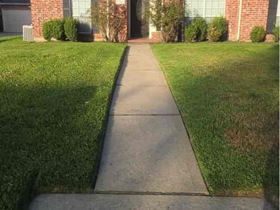 Lawn Care service in Willis, 77378