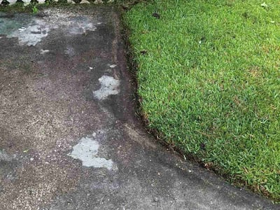 Lawn Care service in Oldsmar, 34677