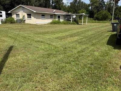 Lawn Care service in Lithia, 33547