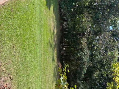 Lawn Care service in Ball Ground, 30107