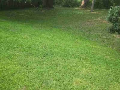 Lawn Care service in Roseville, 55113