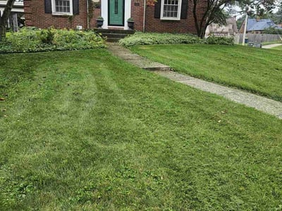 Lawn Care service in Sewickley, 15143