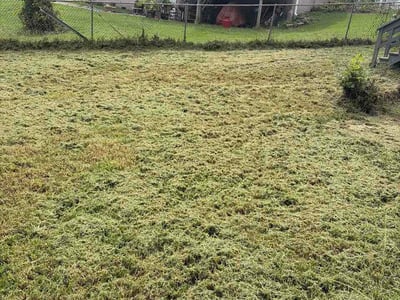 Lawn Care service in Jefferson City, 65101