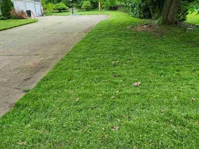 Lawn Care service in West Springfield, 01089