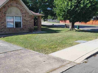 Lawn Care service in Selma, 78154