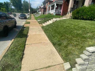 Lawn Care service in Clayton, 63105