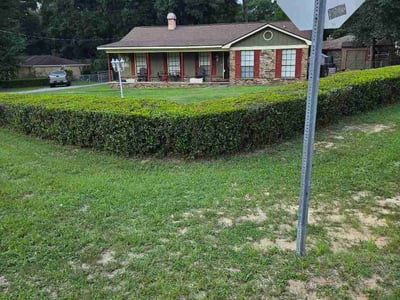 Lawn Care service in Mobile, 36602