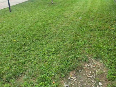 Lawn Care service in Coolidge, 85128