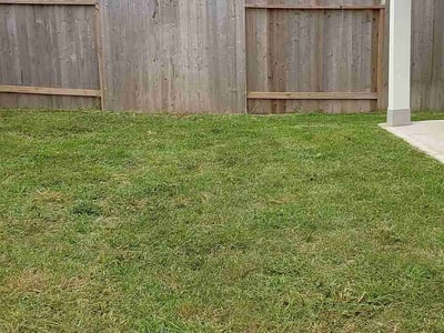 Lawn Care service in Coolidge, 85128