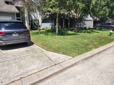 Lawn Care service in La Marque, 77568