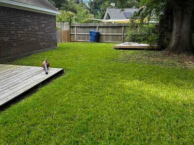 Lawn Care service in Brazoria, 77422