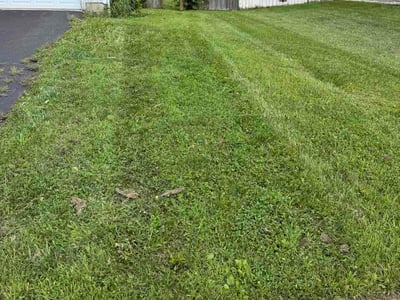 Lawn Care service in Reynoldsburg, 43068