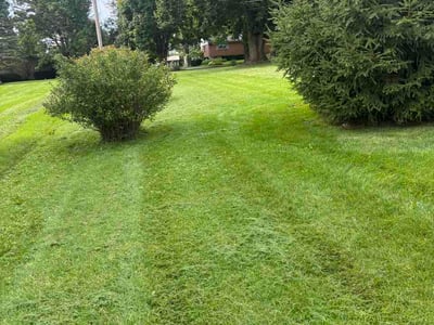 Lawn Care service in ,