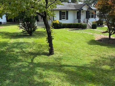 Lawn Care service in Tehachapi, 93561