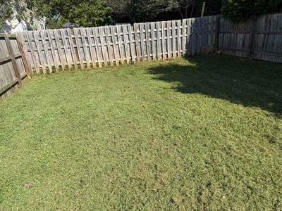 Lawn Care service in Tehachapi, 93561