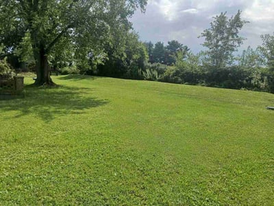 Lawn Care service in Steubenville, 43952