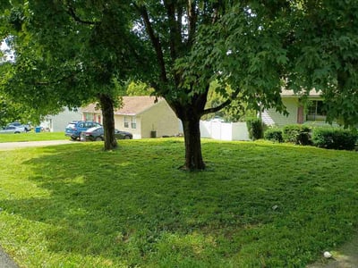 Lawn Care service in Steubenville, 43952