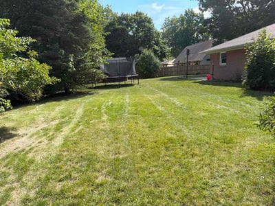 Lawn Care service in Flushing, 48433