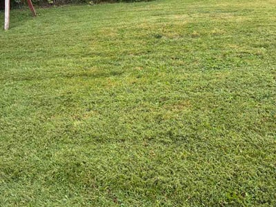 Lawn Care service in Bloomington, 61701